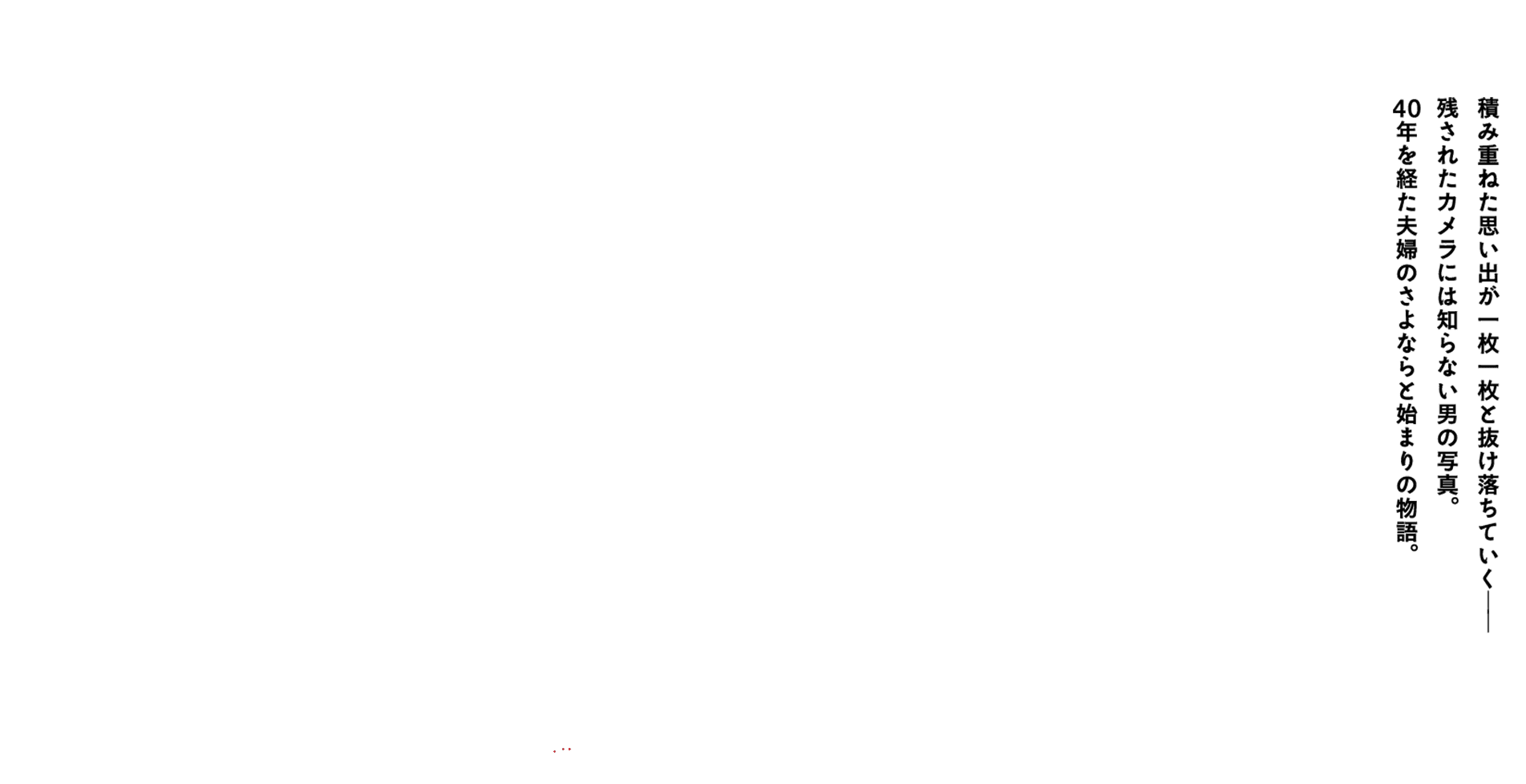 1.15（土）新宿K's cinemaほか全国順次公開